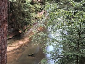Silvester - Festlich tafeln, fröhlich feiern, friedlich schlafen