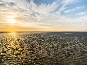 Bild 24 von 30