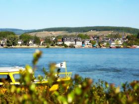 4 Tage - Schnäppchenangebot am Rhein inkl. Präsent & Getränke-Gutschein