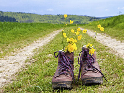 "Die Wanderer Fit Tage" im Schwarzwald