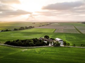 Last Minute - Kurzurlaub mit Hund an der Nordsee