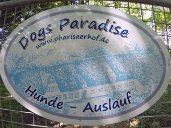 Bild 27 von 35