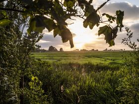 Kurze Auszeit mit Hund an der Nordsee inkl. 1x Abendessen| 3 Tage 