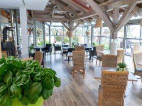 Herbsttage am Bodensee