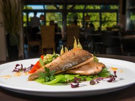 Herbsttage am Bodensee