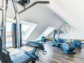 Herbsttage am Bodensee