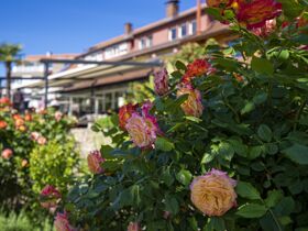 Herbsttage am Bodensee