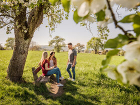 Herbsttage am Bodensee