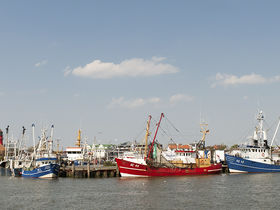 Auszeit in Büsüm | 5 Tage