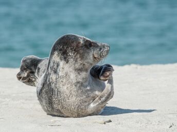 Super Last Minute nach Büsum an die Nordsee | 3 Tage