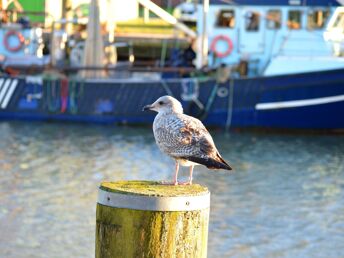 Auszeit in Büsum | 5 Tage