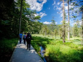 Entspannungstage inkl. Rückenmassage oder Fußpflege 