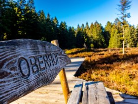Kurze Auszeit im Thüringer Wald 1 Nacht