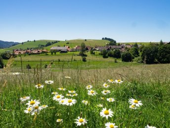 Stop Over im Schwarzwald - Kurzurlaub in Empfingen | 2 Tage  