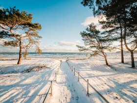 Auszeit auf Rügen im Ostseebad Binz inkl. Halbpension