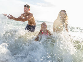 Watt zum Kennenlernen