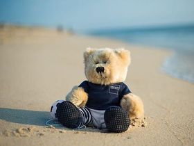 Watt zum Kennenlernen