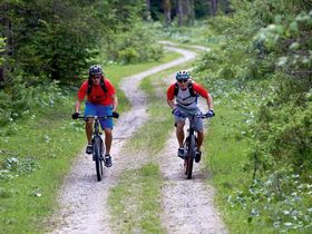 Erlebnistage mit dem Skywalk Willingen im Sauerland