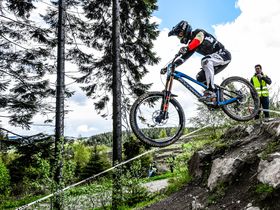 Erlebnistage mit dem Skywalk Willingen im Sauerland