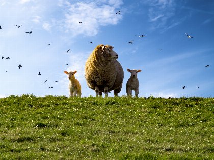 Ostern am Meer 5 Tage 