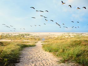 6 Erholungstage im Ferienappartement an der Nordsee inkl. Langeoog – ohne Frühstück