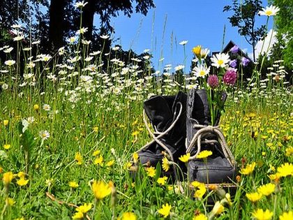"Natur macht Glücklich" Frühlings - Auszeit im Heidehof in der Lüneburger Heide - 4 Tage 