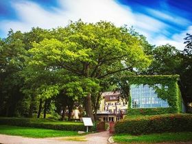 Zu Wasser und zu Land - Urlaub direkt am Inselsee Güstrow