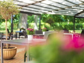 Zu Wasser und zu Land - Urlaub direkt am Inselsee Güstrow