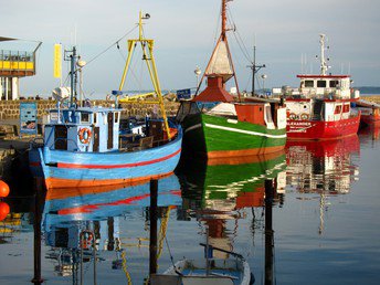 Bild 16 von 36