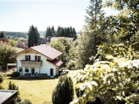 4 Tage Wandertage mit Ihrem Vierbeiner in Braunlage im Harz