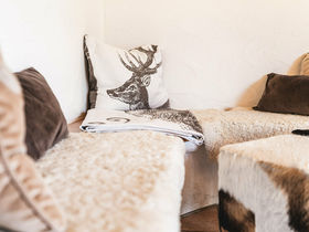 4 Tage Wandertage mit Ihrem Vierbeiner in Braunlage im Harz