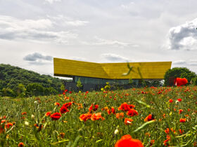 Kulturquicki an der Unstrut 