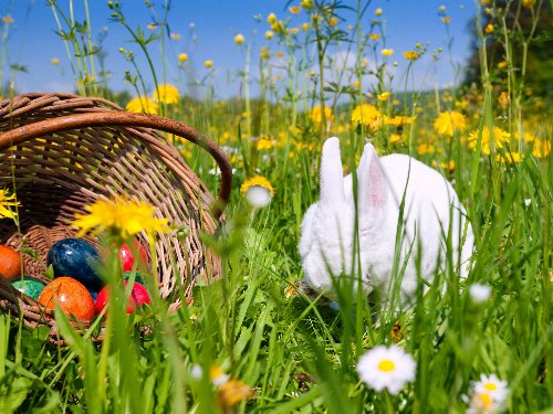 4 Tage Oster - Schnäppchen zum Erholen und Genießen 