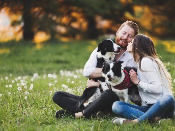 Wuff & Weg - Urlaub mit Hund in Aldingen