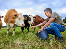 1 Übernachtung inkl. Abend-Dinner aus der Region |2 Tage