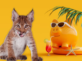 All Inklusive Special - Ihr rund um sorglos Sparpaket für den Harz- 7 Tage im Hasseröder Burghotel