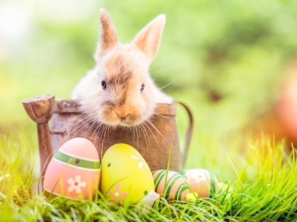 Ostern am Passader See