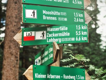 Bild 29 von 33