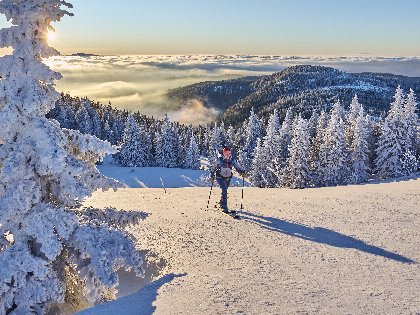 Wintermärchen mit Hund am Großen Arber