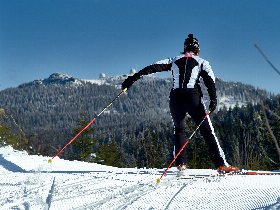 Skihasenwoche am großen Arber 