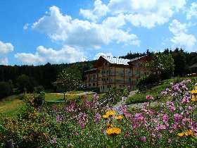 Ein Stück vom Paradies... im Bayerischen Wald