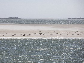 Winterauszeit auf der Hallig Langeneß
