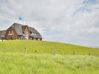 Ausflug auf die Hallig Langeness