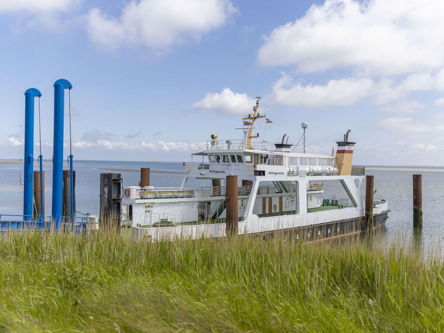 Ausflug auf die Hallig Langeness