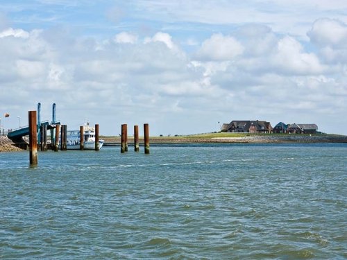 Kurzurlaub an der Nordsee - Hallig Langeness