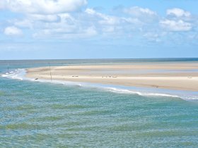 Kurzentschlossen auf Hallig