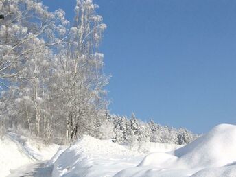 Bild 18 von 23