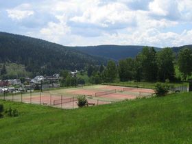 4 Schlemmertage in Klingenthal im Vogtland inkl. Halbpension 
