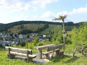4 Schlemmertage in Klingenthal im Vogtland inkl. Halbpension 