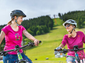 Erlebnisurlaub in Oberwiesenthal am Fichtelberg inkl. Monsterrollertour & Flyline